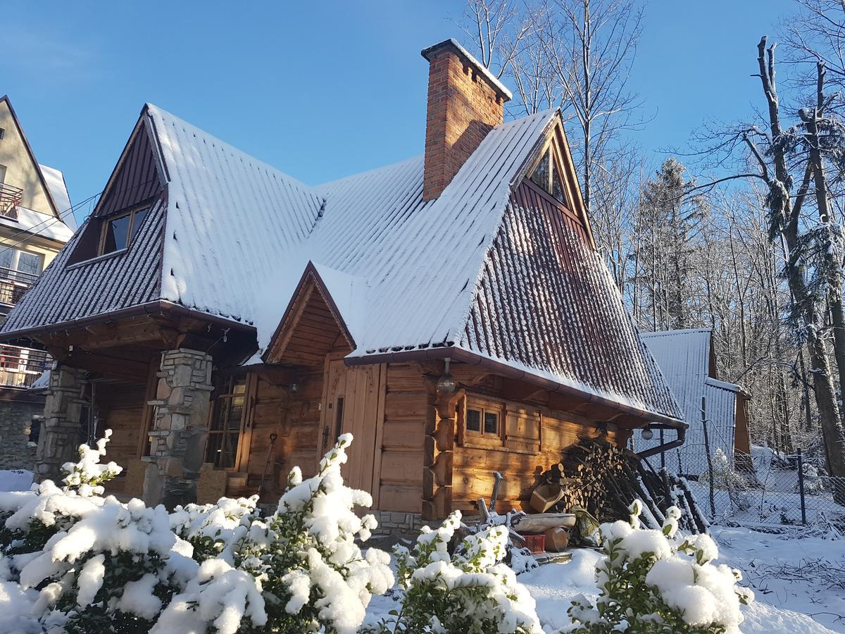 Domek Drewniany Tetmajera Centrum Закопане Экстерьер фото