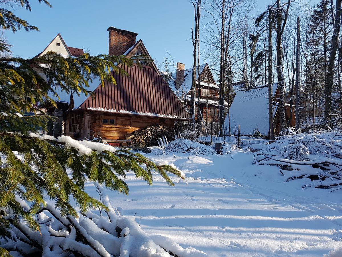 Domek Drewniany Tetmajera Centrum Закопане Экстерьер фото